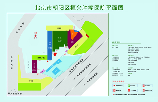 扣菊花自慰北京市朝阳区桓兴肿瘤医院平面图